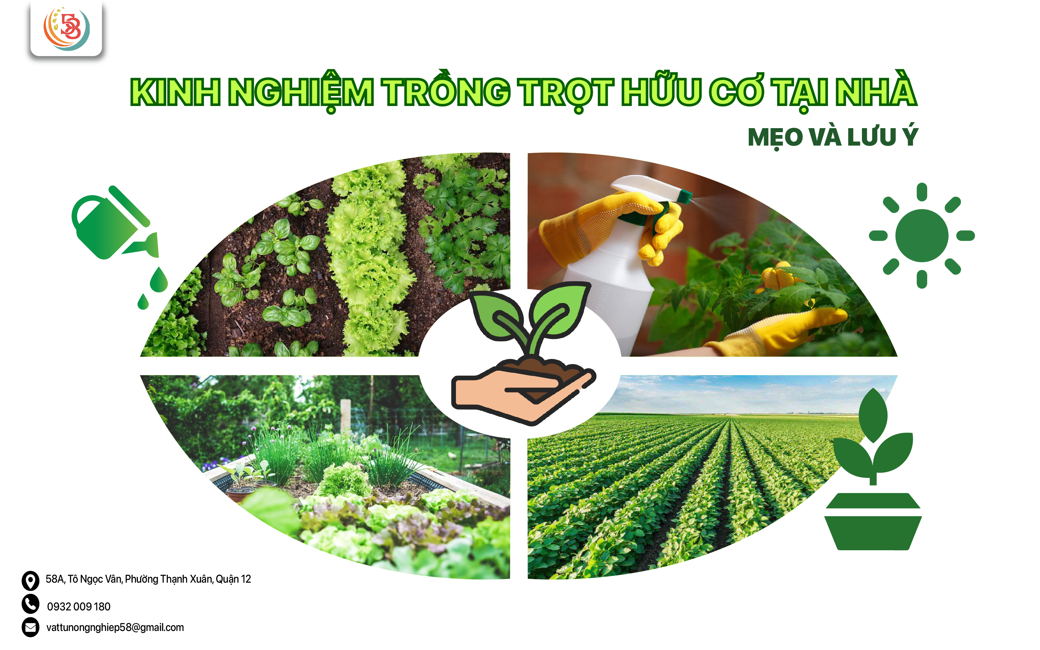 KINH NGHIỆM TRỒNG TRỌT HỮU CƠ TẠI NHÀ: MẸO VÀ LƯU Ý
